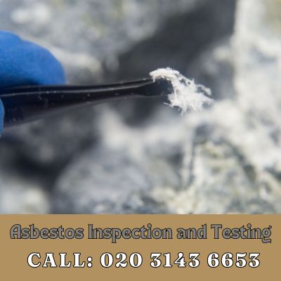 Comprehensive Asbestos Inspection and Testing Services in Enfield